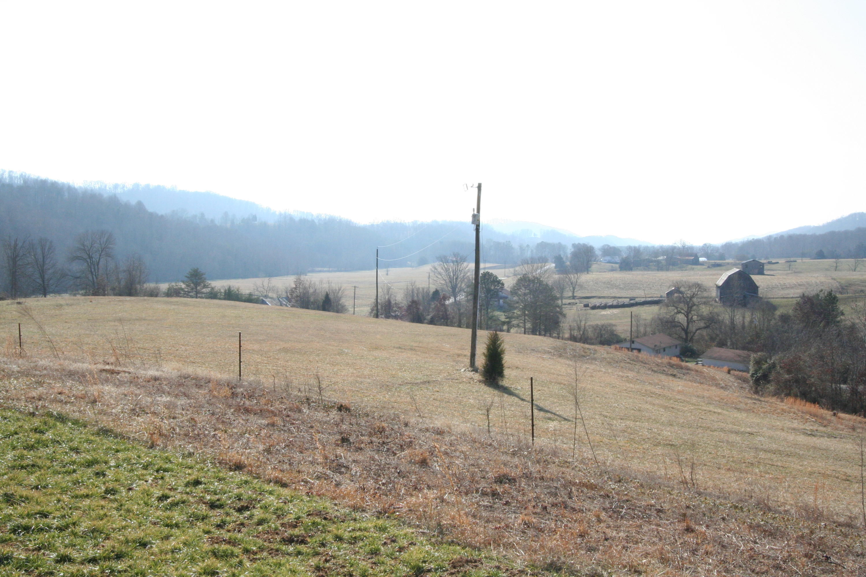 Tater Valley Road Luttrell, TN 37779 - Photo 8 of 35 IMG_0008