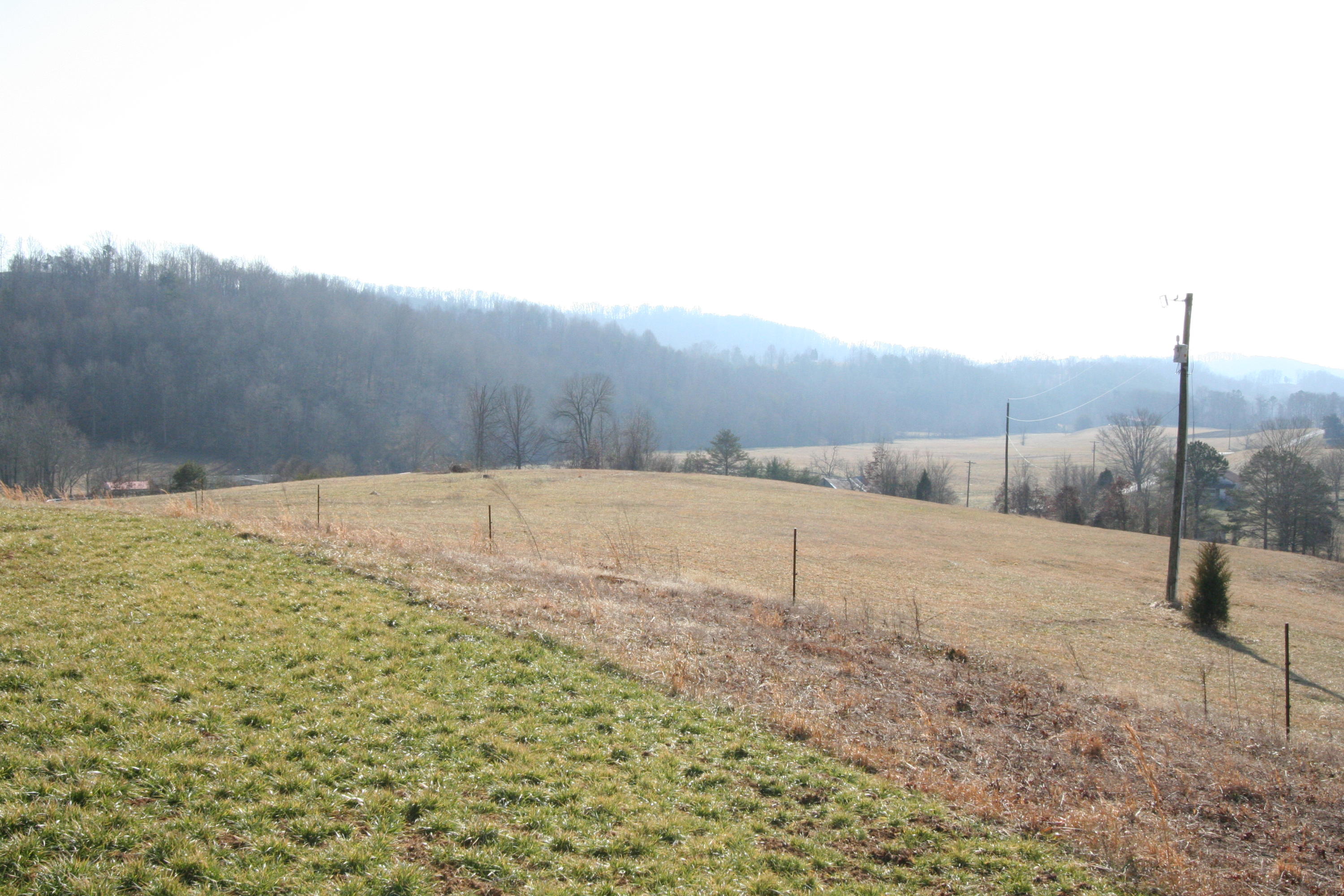 Tater Valley Road Luttrell, TN 37779 - Photo 9 of 35 IMG_0009
