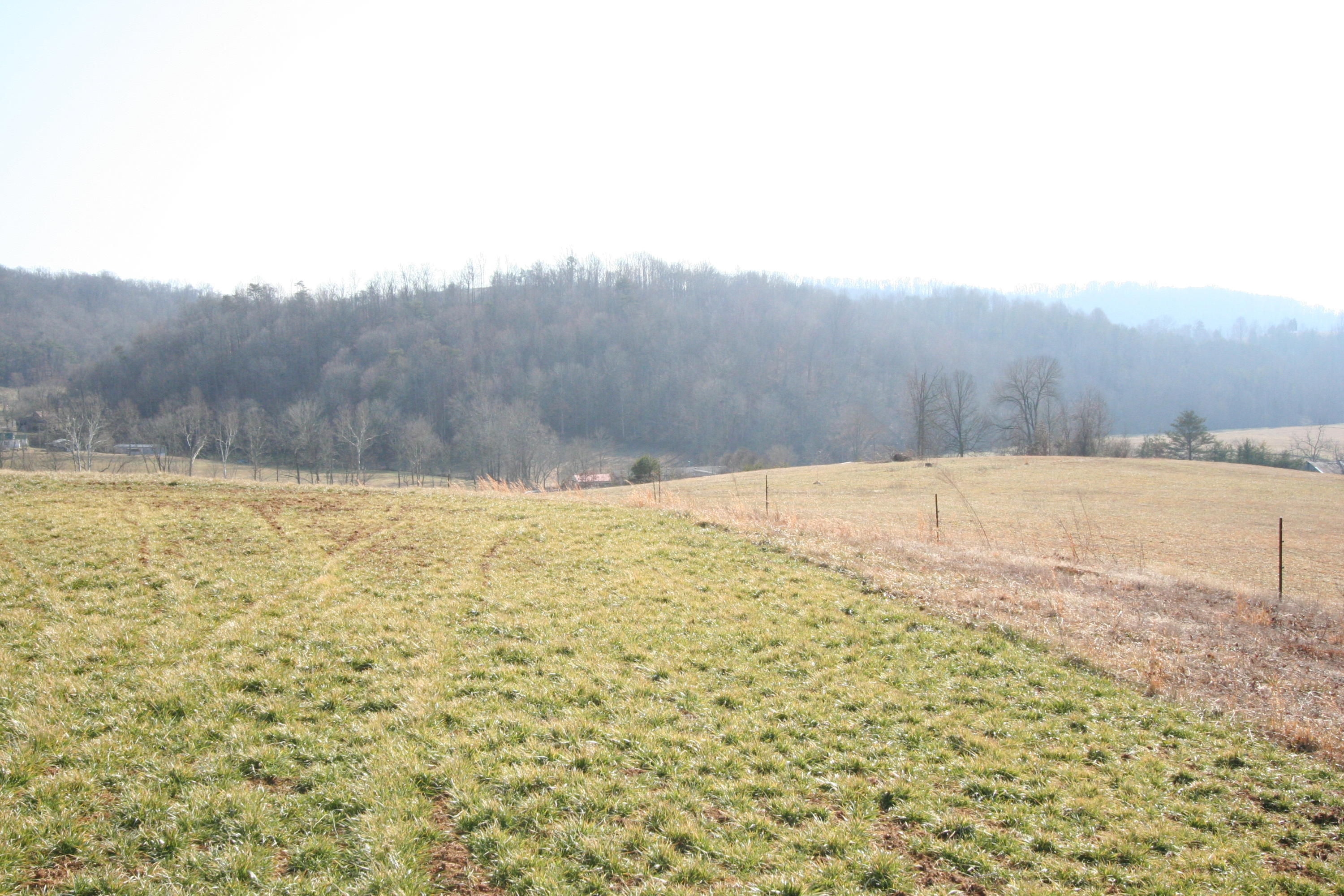 Tater Valley Road Luttrell, TN 37779 - Photo 10 of 35 IMG_0010