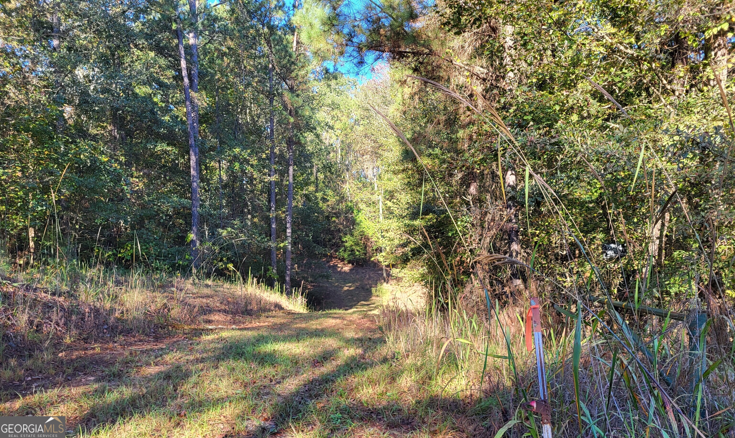 1669 Griswoldville Road Macon, GA 31217 - Photo 6 of 10