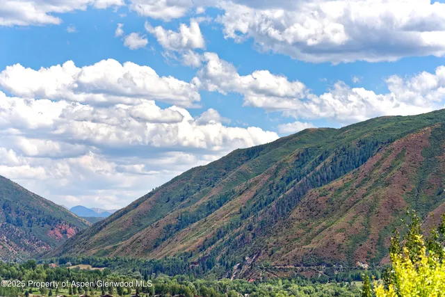 a view of a yard in front of a house