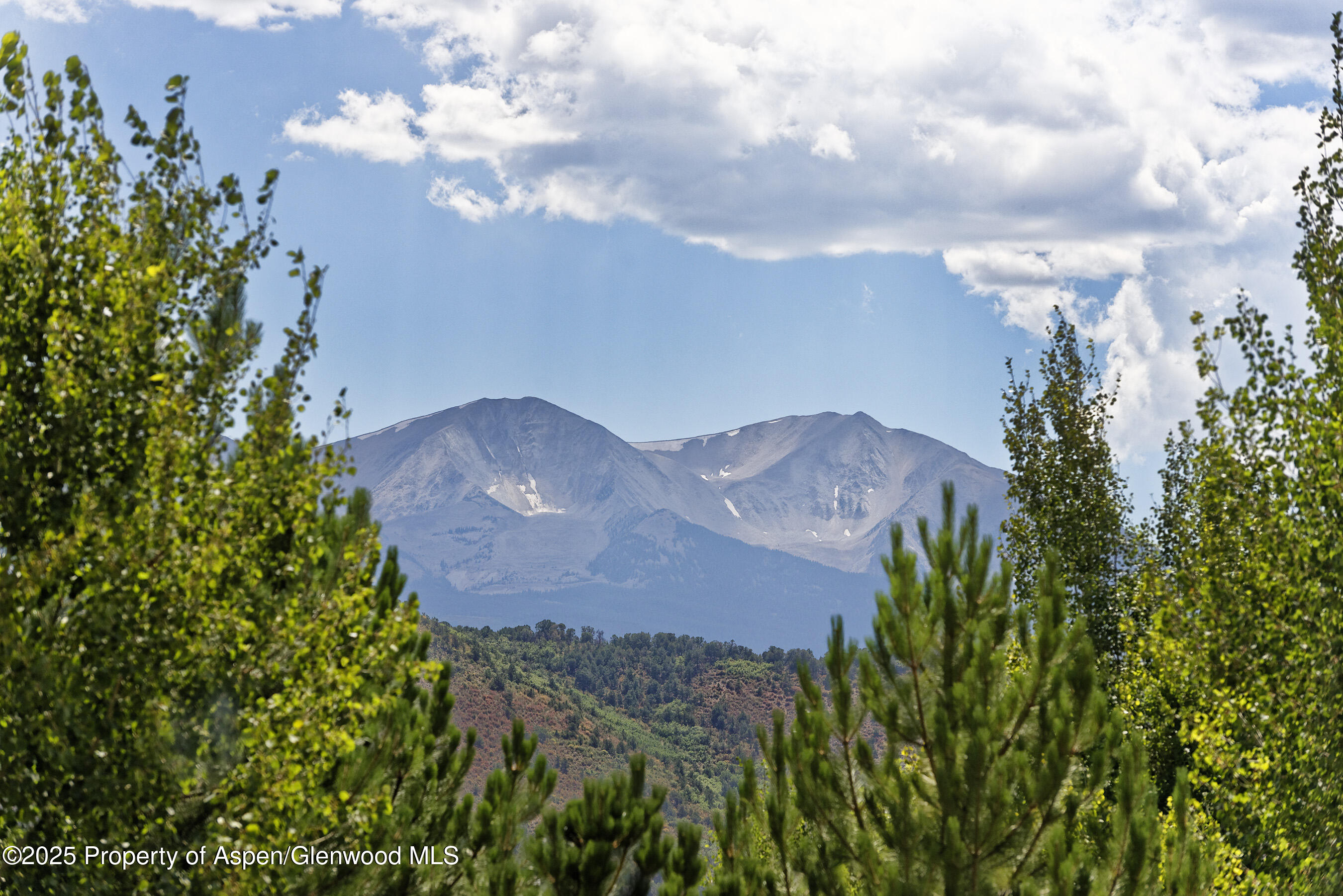 751 Promontory Lane Basalt, CO 81621 - Photo 41 of 41 a view of a yard in front of a house