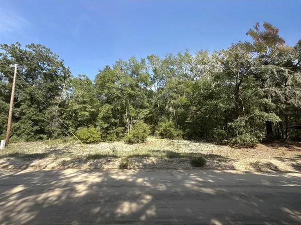 a view of a yard with trees