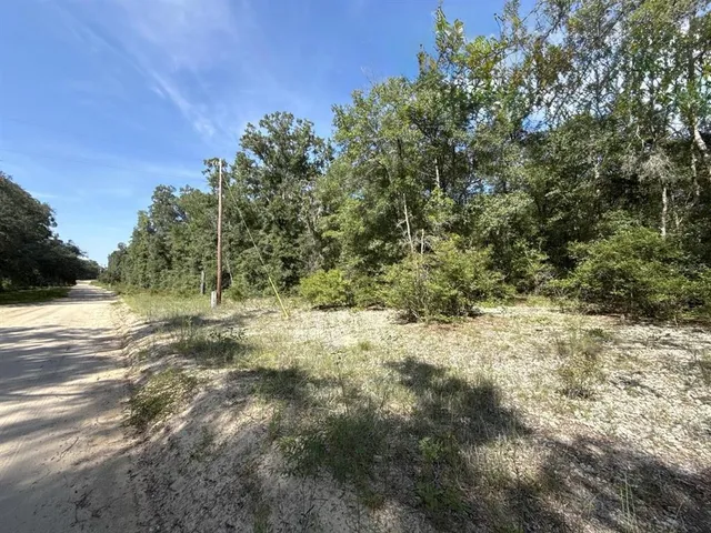 a view of a yard with plants and trees