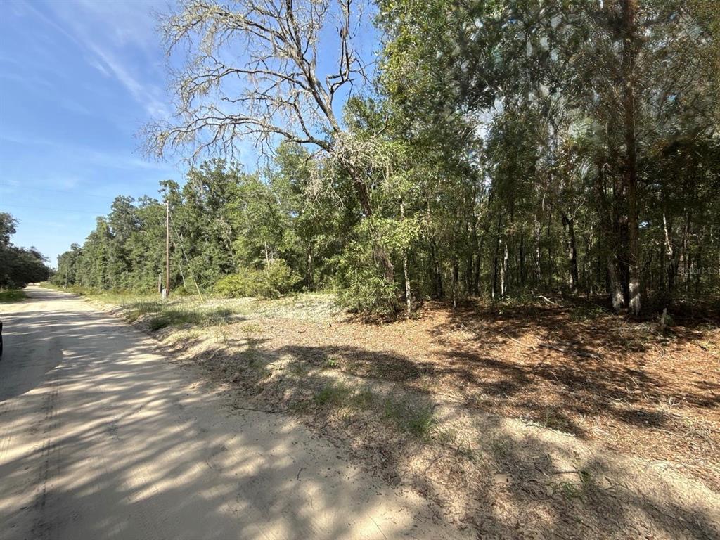 Gloria Avenue Interlachen, FL 32148 - Photo 5 of 9 a backyard of a house with lots of green space