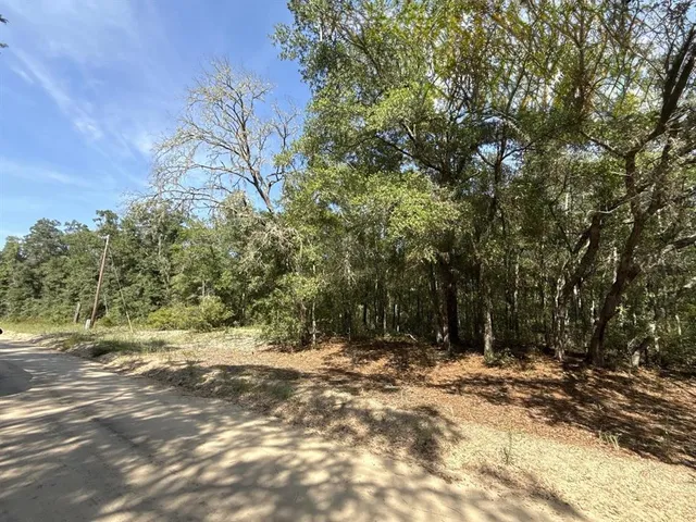 a view of backyard with tree