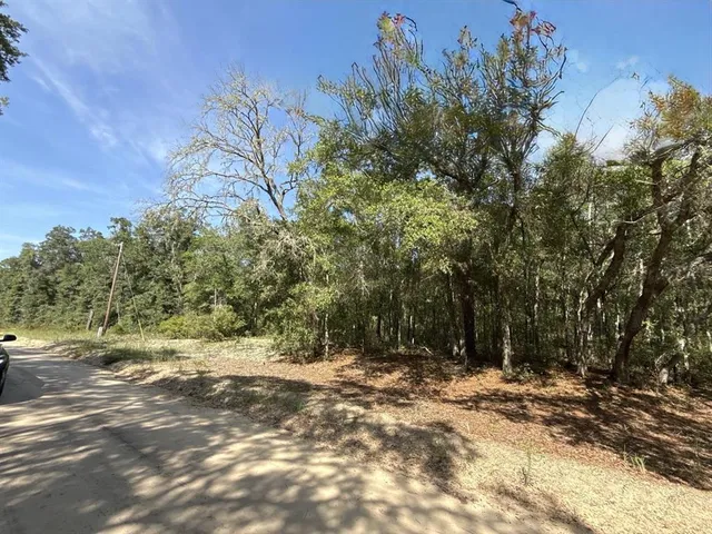a view of outdoor space with trees