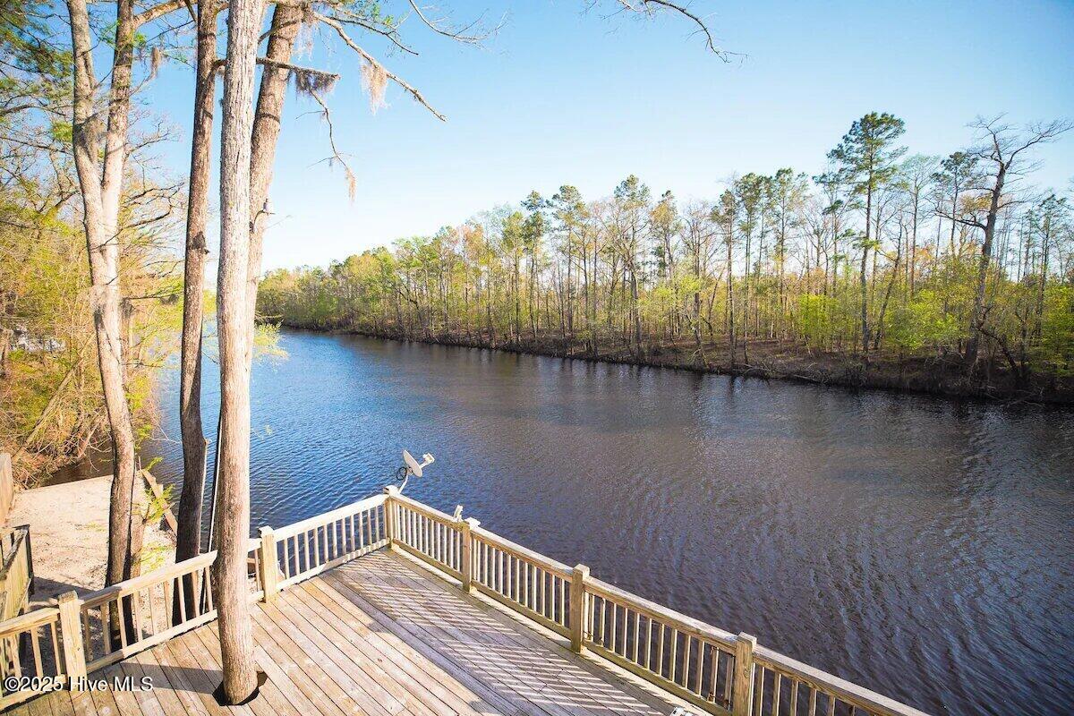 199 Bear Run Road Burgaw, NC 28425 - Photo 25 of 36 c6bee801