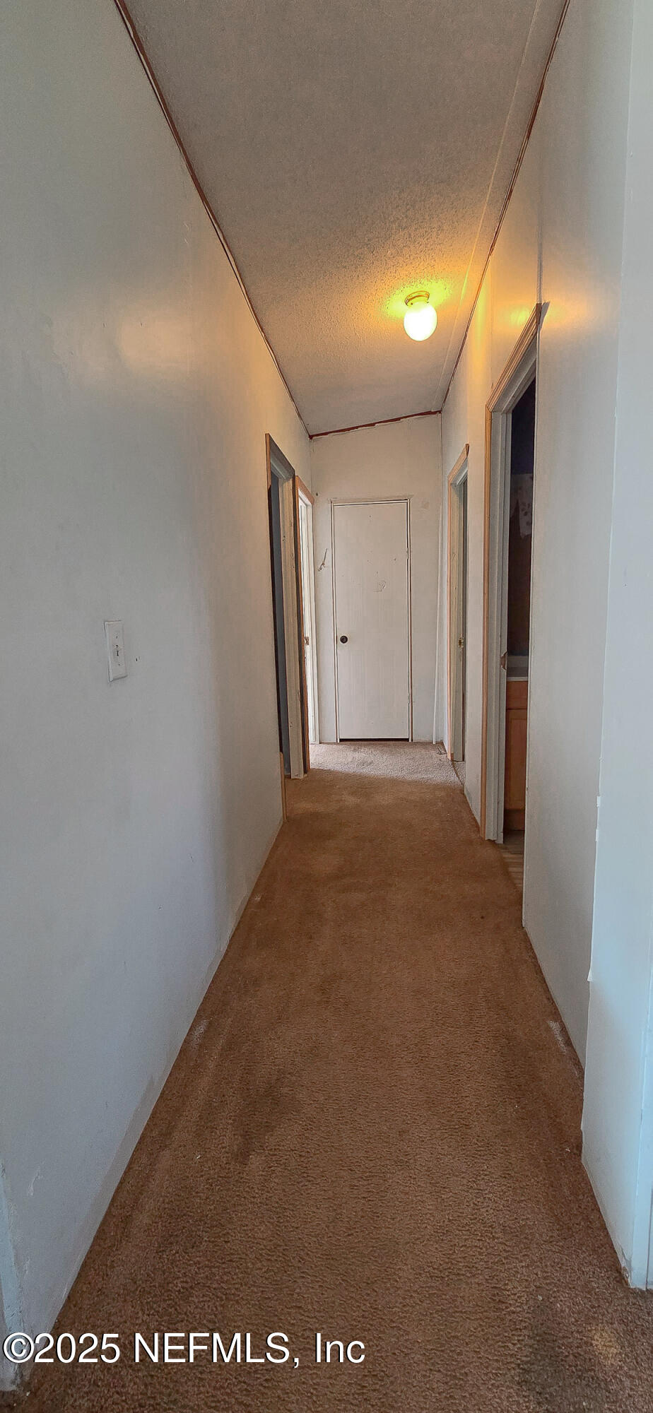 11325 Young Road, Unit # 1 Jacksonville, FL 32218 - Photo 29 of 32 Hallway