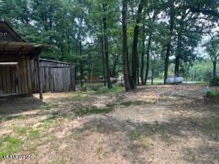 486 Sawyer Road Winona, MS 38967 - Photo 27 of 29 10366-28