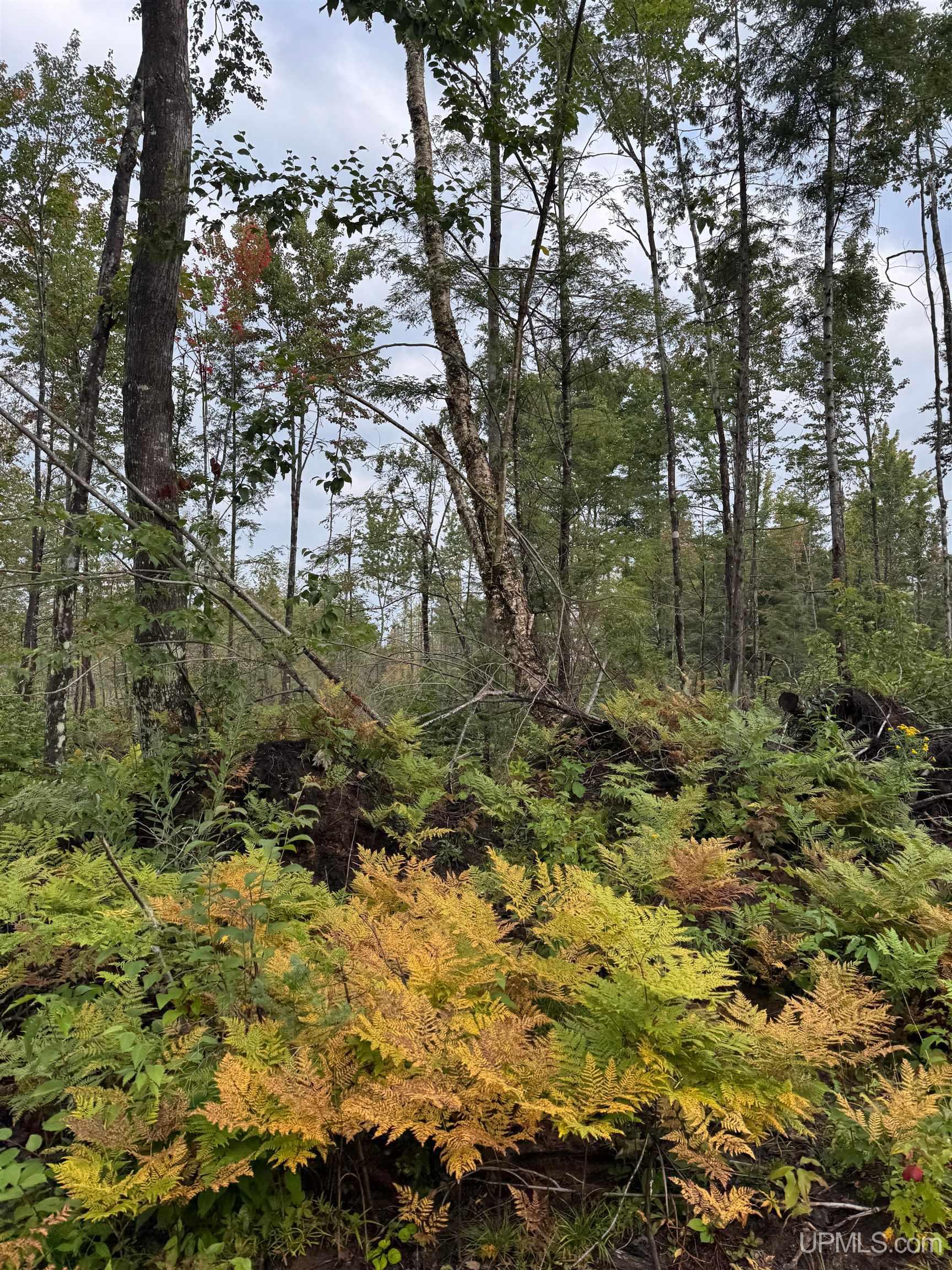 Tbd240 South Firesteel Road Ontonagon, MI 49953 - Photo 12 of 16