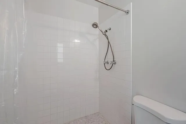 a bathroom with a shower and toilet