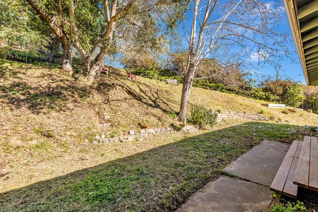 a view of a yard with large trees
