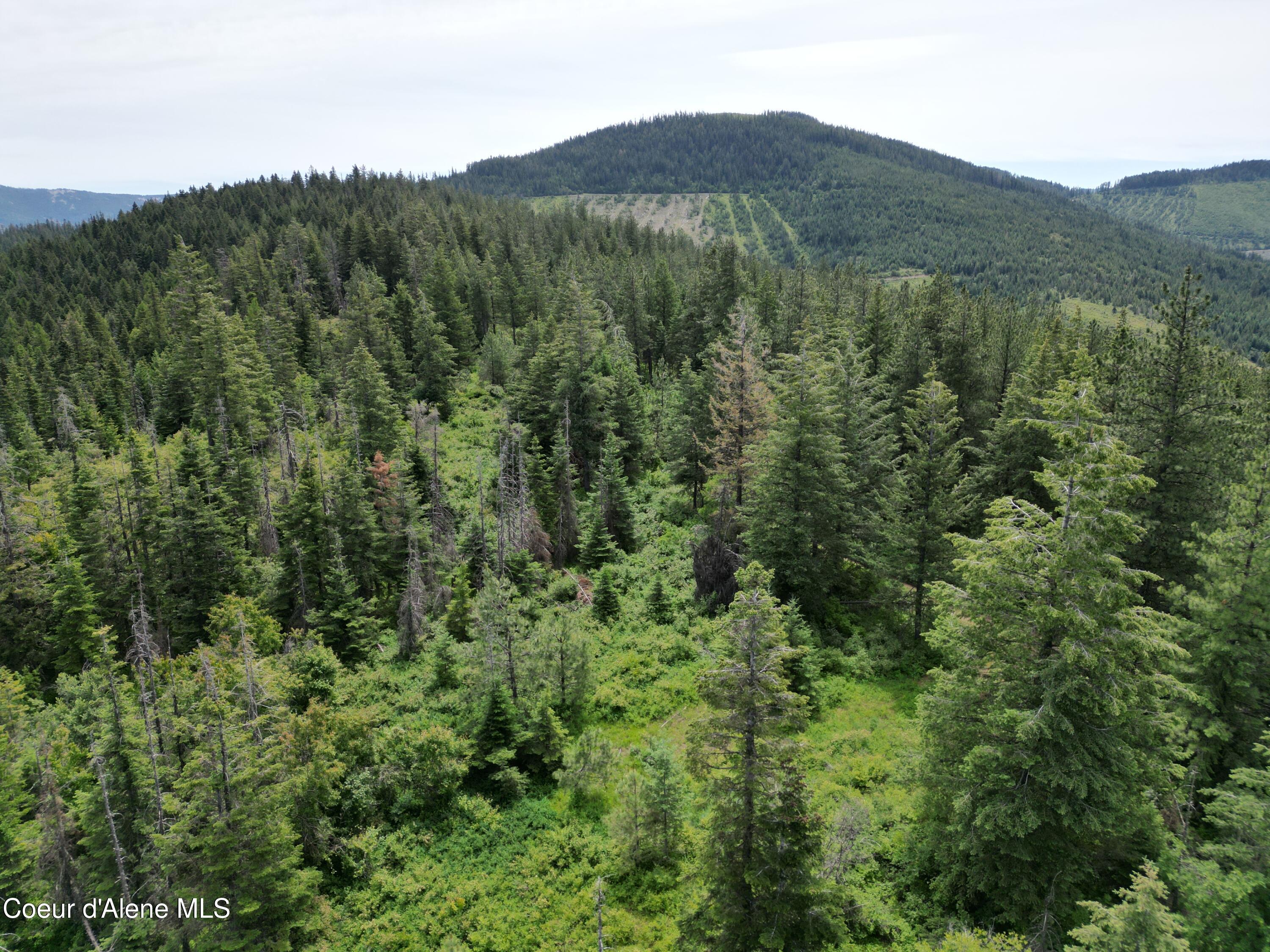 Nka Initial Peak Road Cataldo, ID 83810 - Photo 5 of 18 NKA Initial