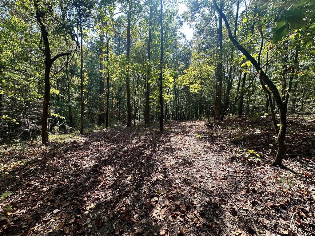 0 Frix Road Cumming, GA 30028 - Photo 11 of 16 a view of a forest with trees in the background