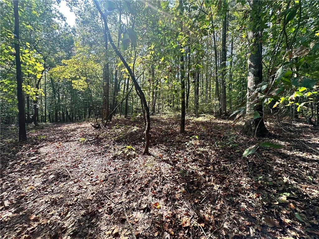 0 Frix Road Cumming, GA 30028 - Photo 13 of 16 a view of a forest