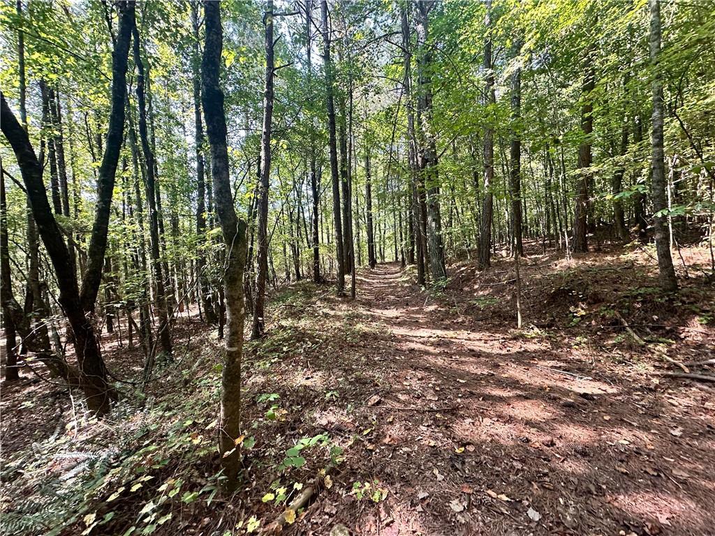 0 Frix Road Cumming, GA 30028 - Photo 4 of 16 a view of outdoor space with trees