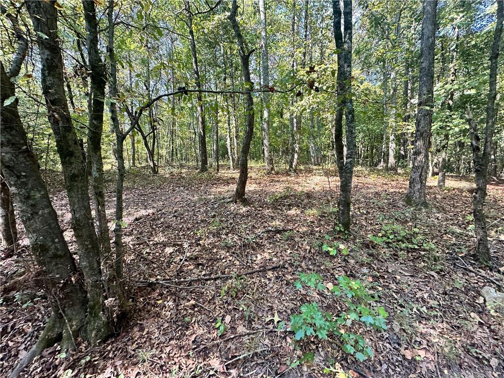 0 Frix Road Cumming, GA 30028 - Photo 7 of 16 a backyard of a house with lots of green space