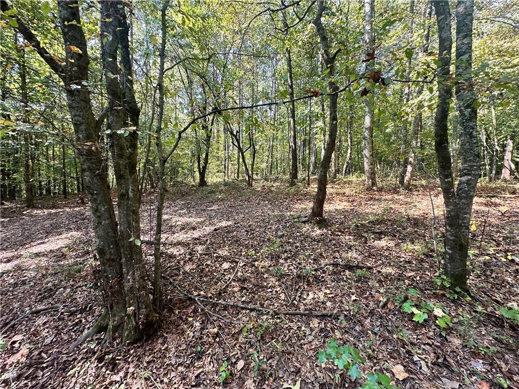 0 Frix Road Cumming, GA 30028 - Photo 8 of 16 a view of outdoor space with lots of trees