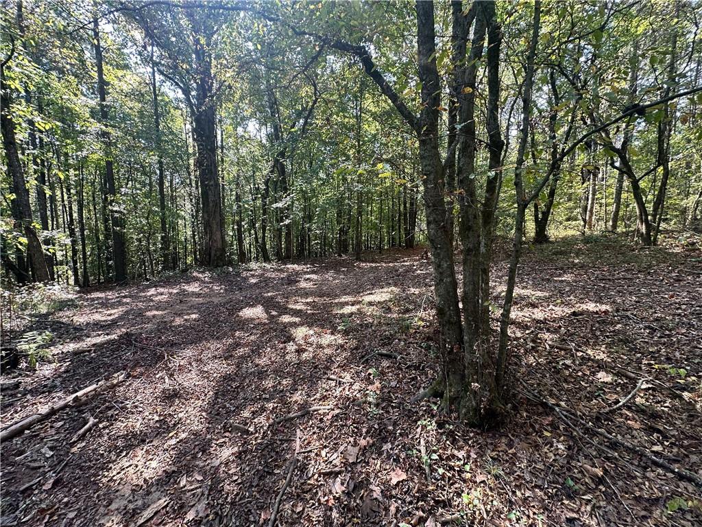 0 Frix Road Cumming, GA 30028 - Photo 9 of 16 a view of a forest with trees in the background