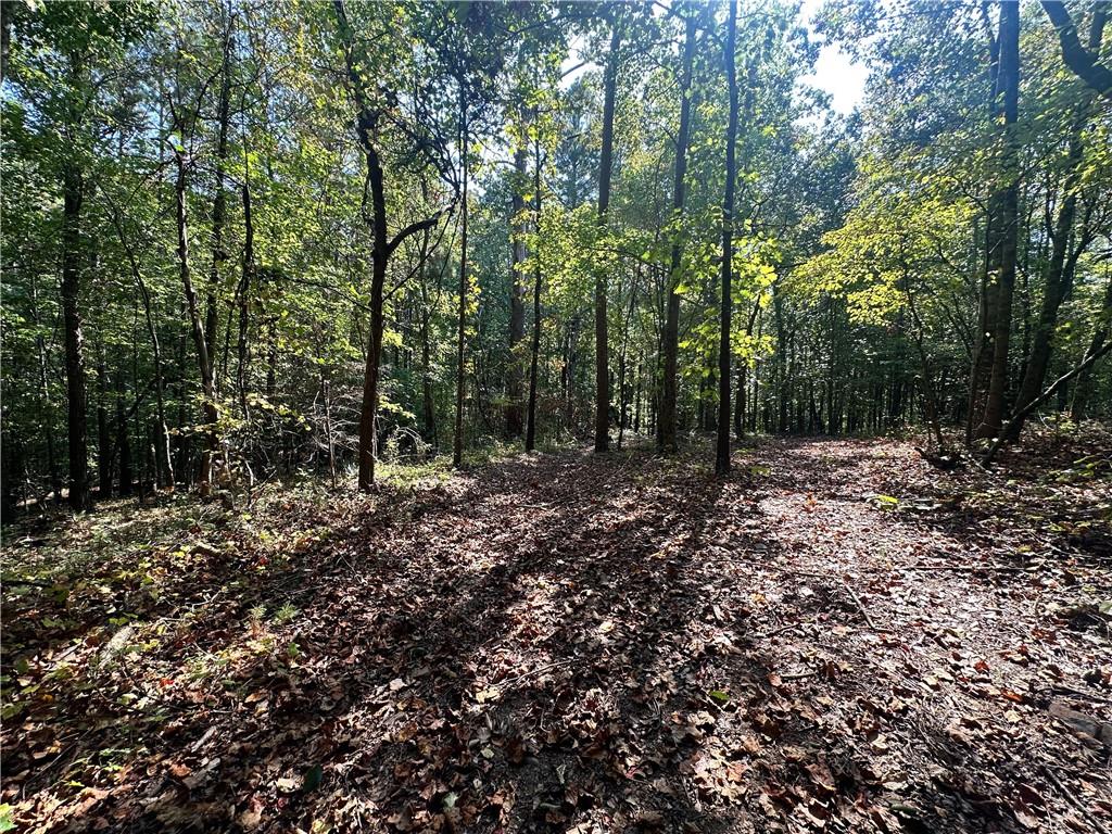 0 Frix Road Cumming, GA 30028 - Photo 10 of 16 a view of a forest with trees in the background