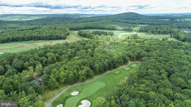 a view of a grassy area with an trees