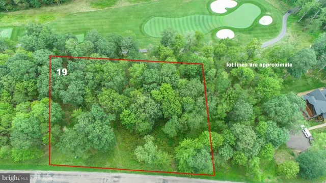 a view of a back yard