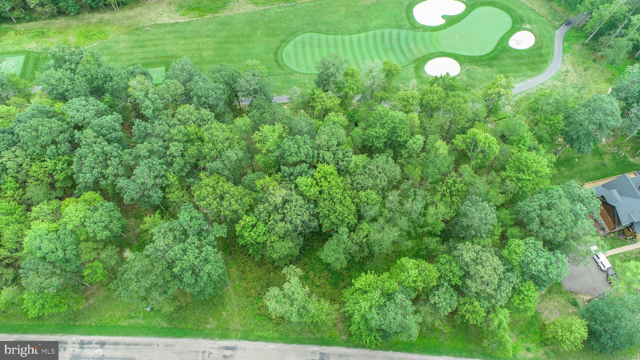 0 Crows Point Road Swanton, MD 21561 - Photo 4 of 15 a view of a large yard with lots of green space and windows