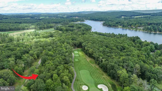 a view of a garden with a lake