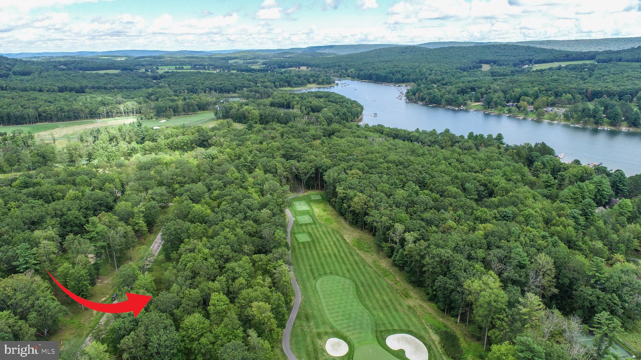 0 Crows Point Road Swanton, MD 21561 - Photo 5 of 15 a view of a garden with a lake