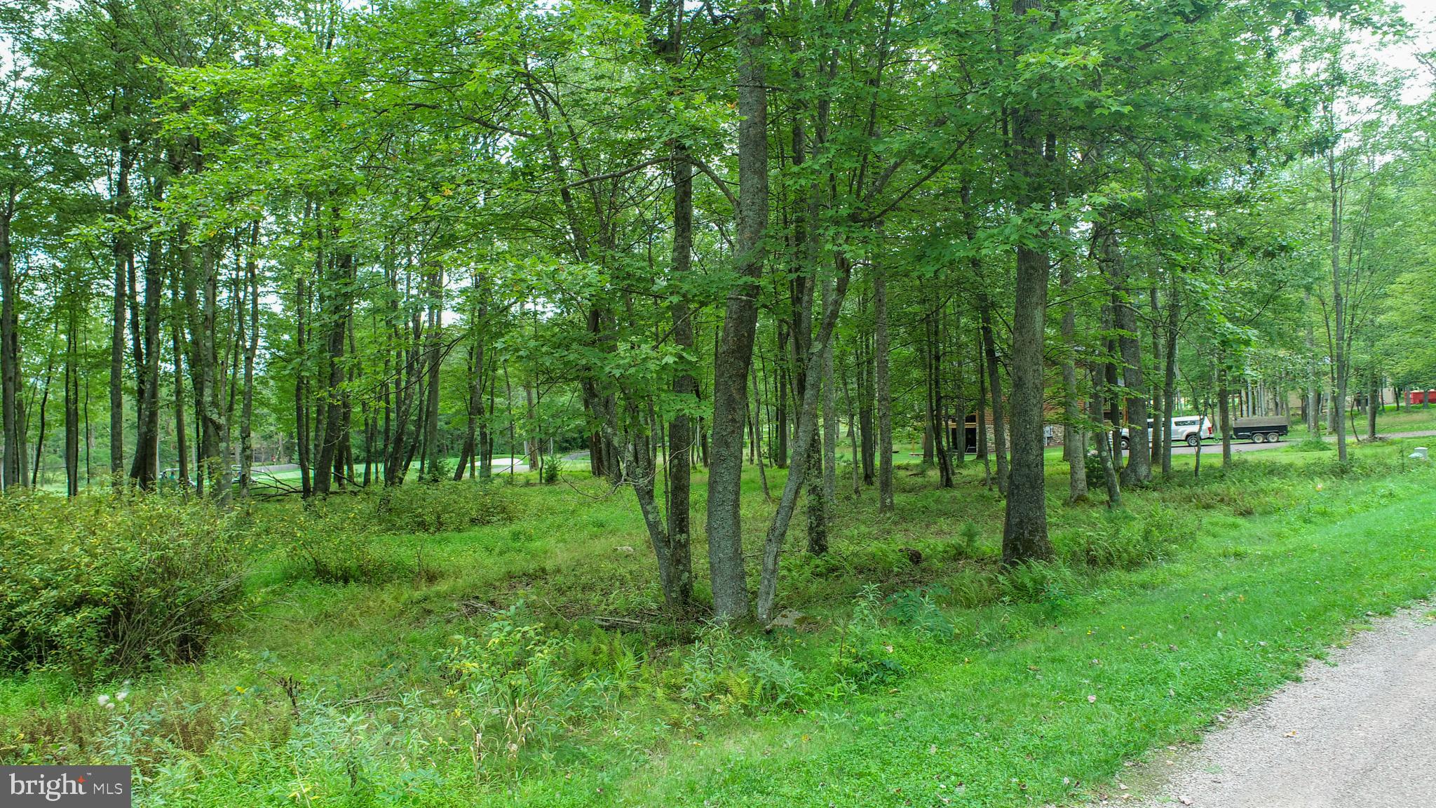0 Crows Point Road Swanton, MD 21561 - Photo 6 of 15 a view of outdoor space and green space