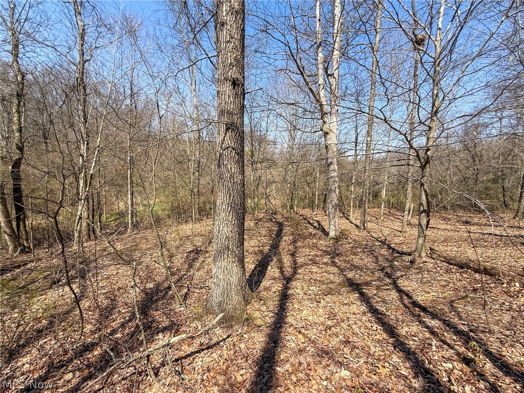 Claysville Road Cumberland, OH 43732 - Photo 19 of 47