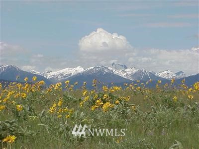 13 Cap Wright Road Twisp, WA 98856 - Photo 1 of 1 Gallery Image 1