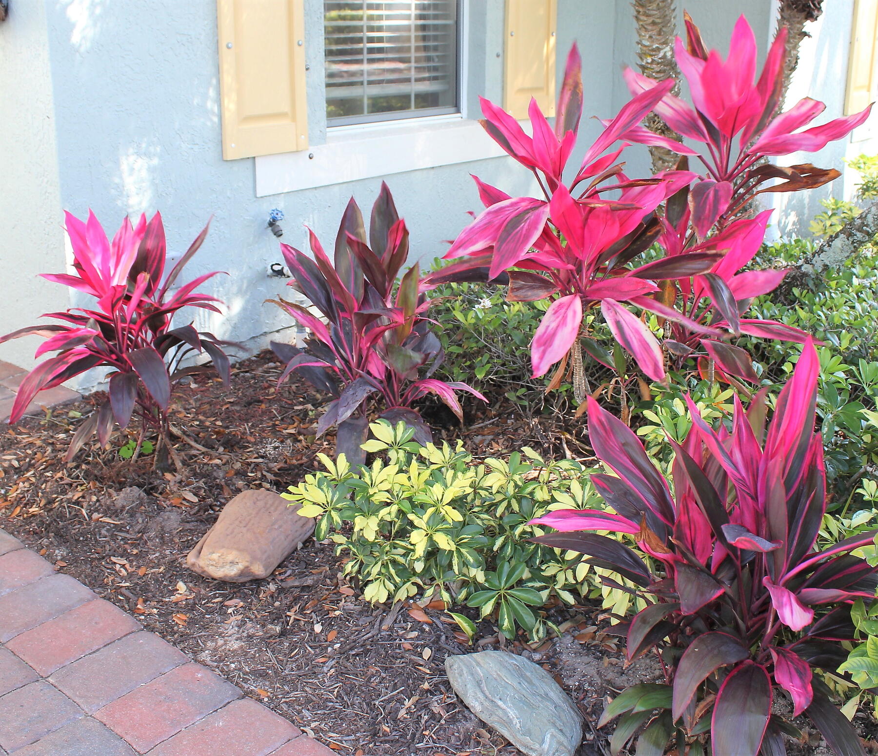 774 Gossamer Wing Way Sebastian, FL 32958 - Photo 22 of 23 IMG_4763az