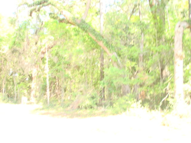 47 Chisolm Plantation Road Edisto Island, SC 29438 - Photo 1 of 3 47