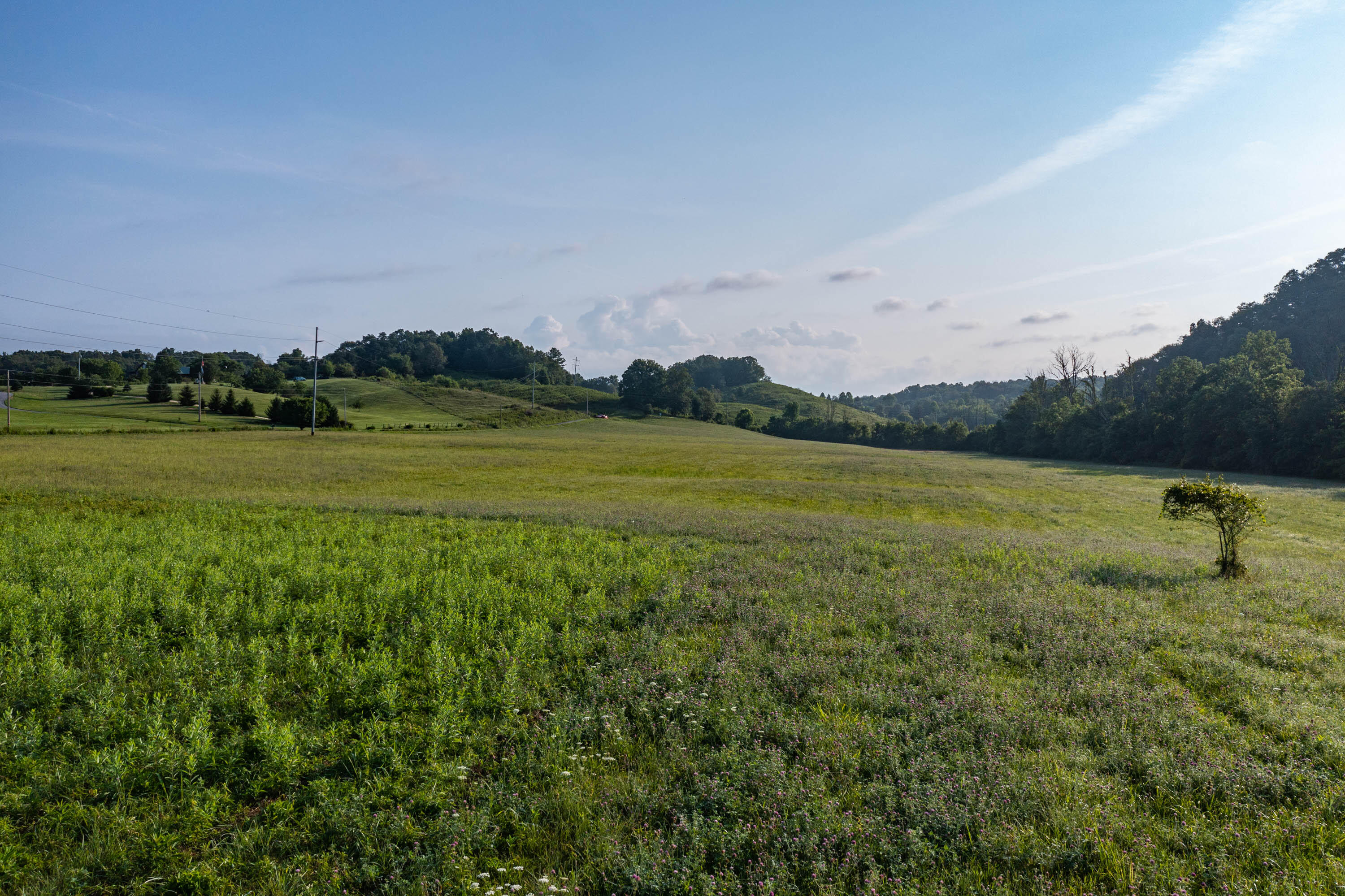 18-ac Justice Road Afton, TN 37616 - Photo 4 of 19 Justice-4