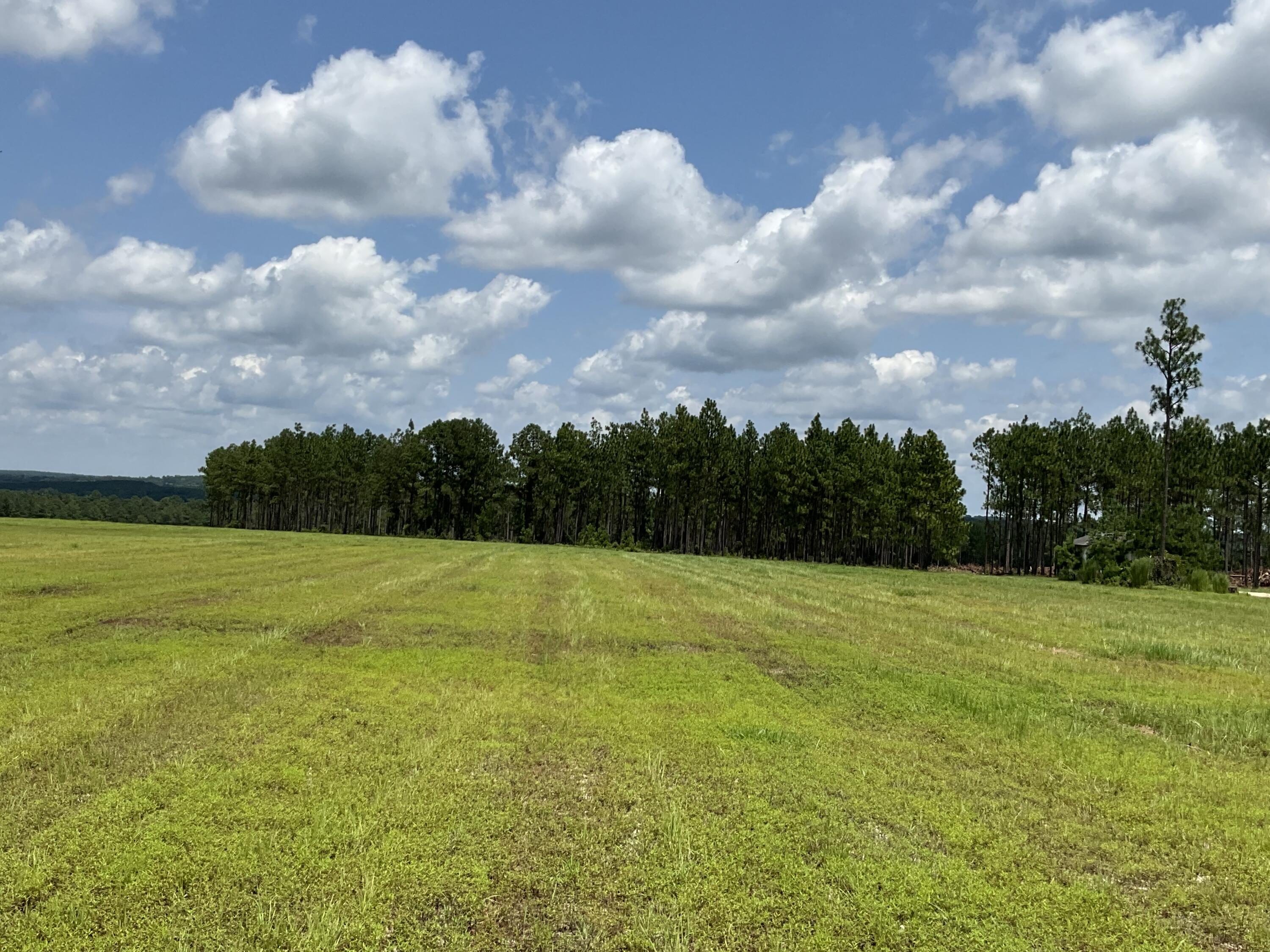 -lot 47 Laughlin Loop Aiken, SC 29805 - Photo 11 of 13