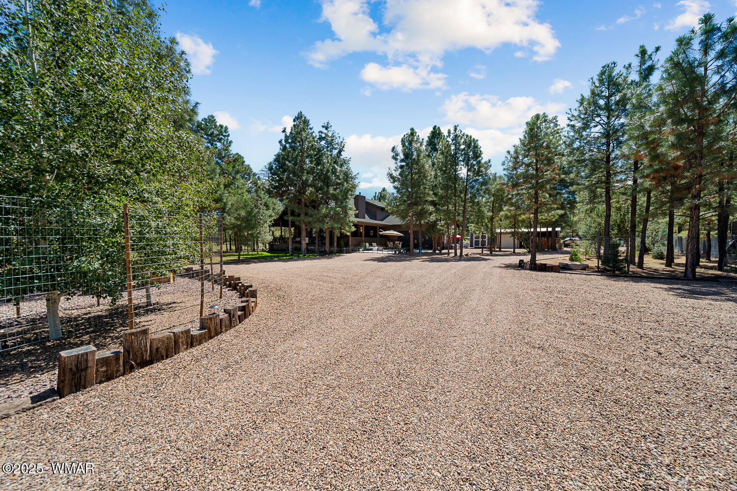 2046 Christmas Pine Road Overgaard, AZ 85933 - Photo 3 of 77