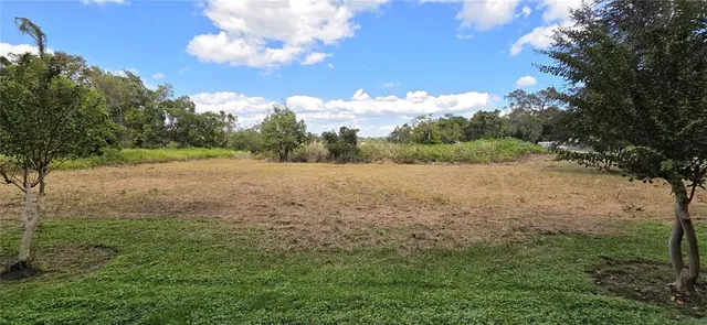 a view of a field with trees in the background