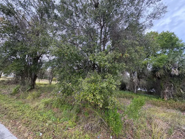 a view of a yard with a tree