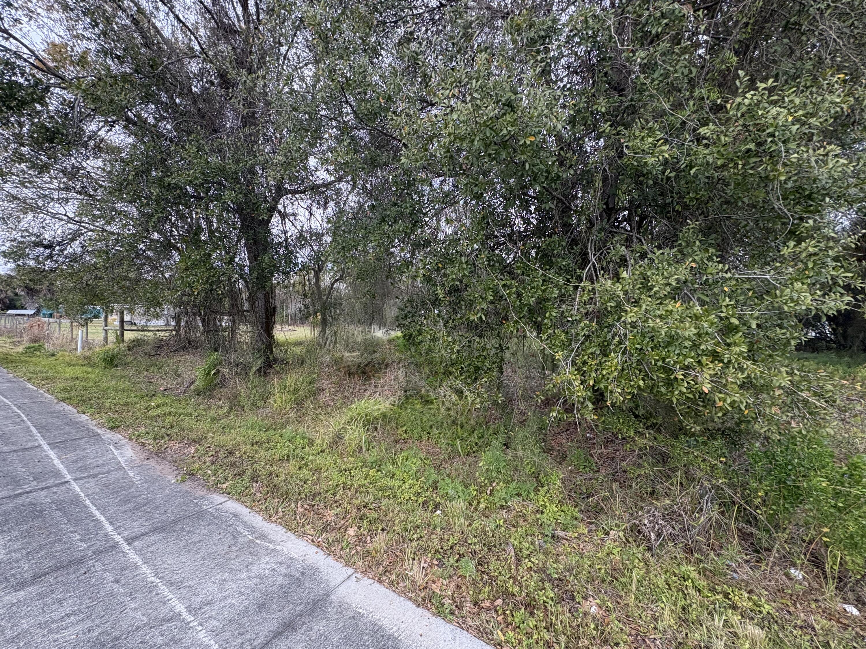 0 Northwest 1st Street Okeechobee, FL 34972 - Photo 12 of 12 a view of a garden with a tree