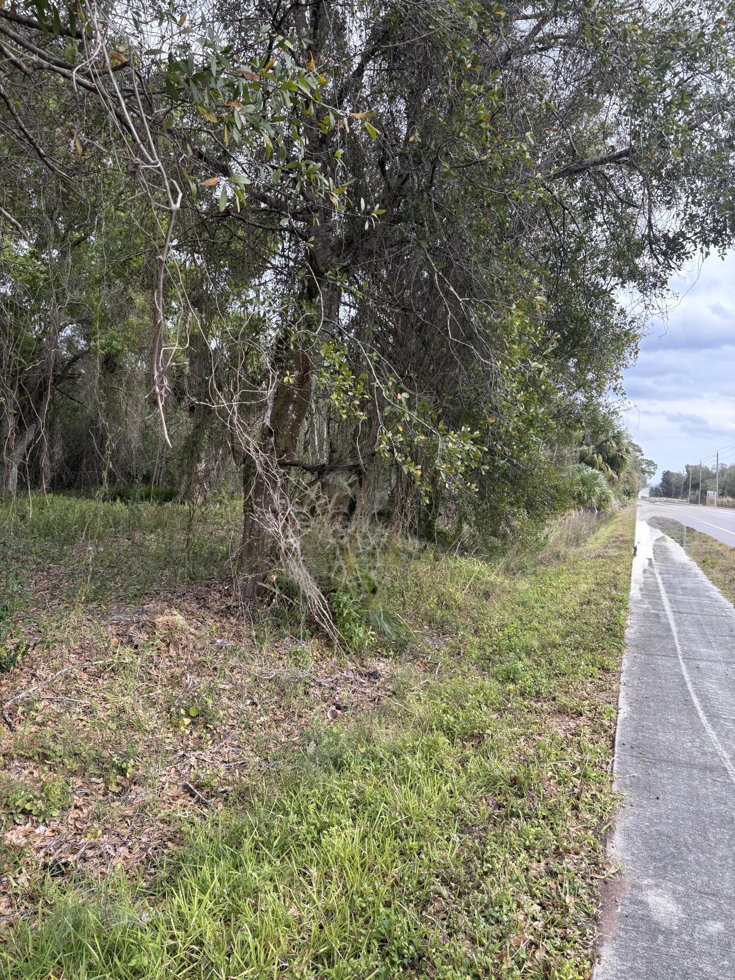 0 Northwest 1st Street Okeechobee, FL 34972 - Photo 4 of 12 a view of a yard with trees
