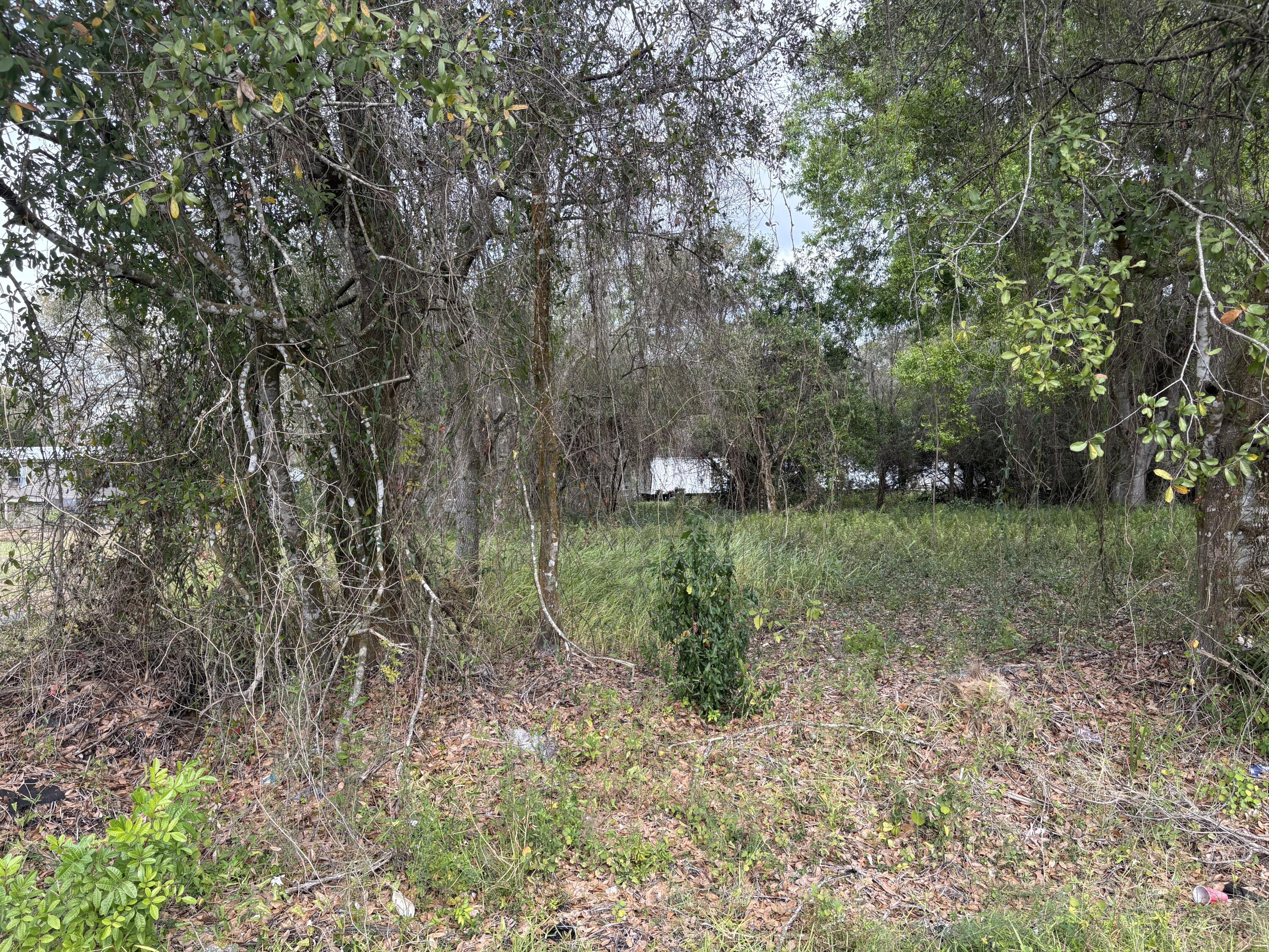 0 Northwest 1st Street Okeechobee, FL 34972 - Photo 5 of 12 a big yard with lots of green space and deers