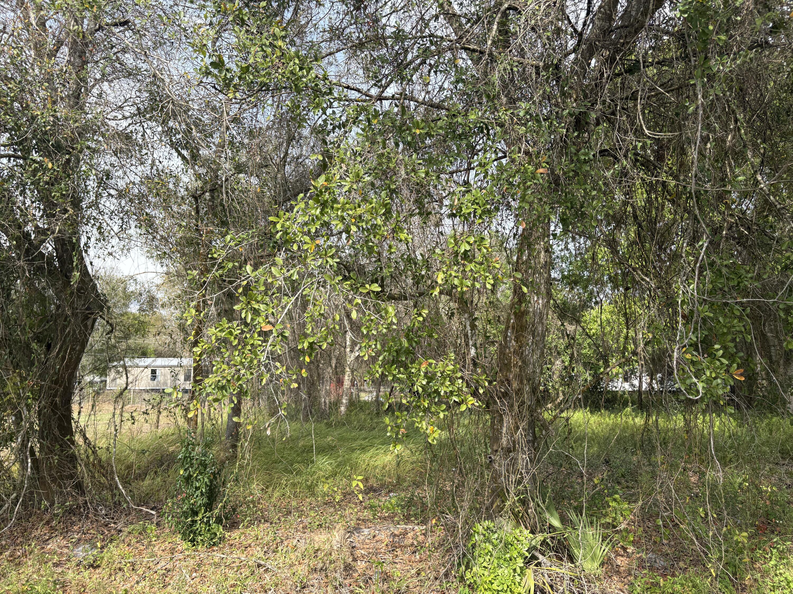 0 Northwest 1st Street Okeechobee, FL 34972 - Photo 7 of 12 a view of outdoor space and a lake view