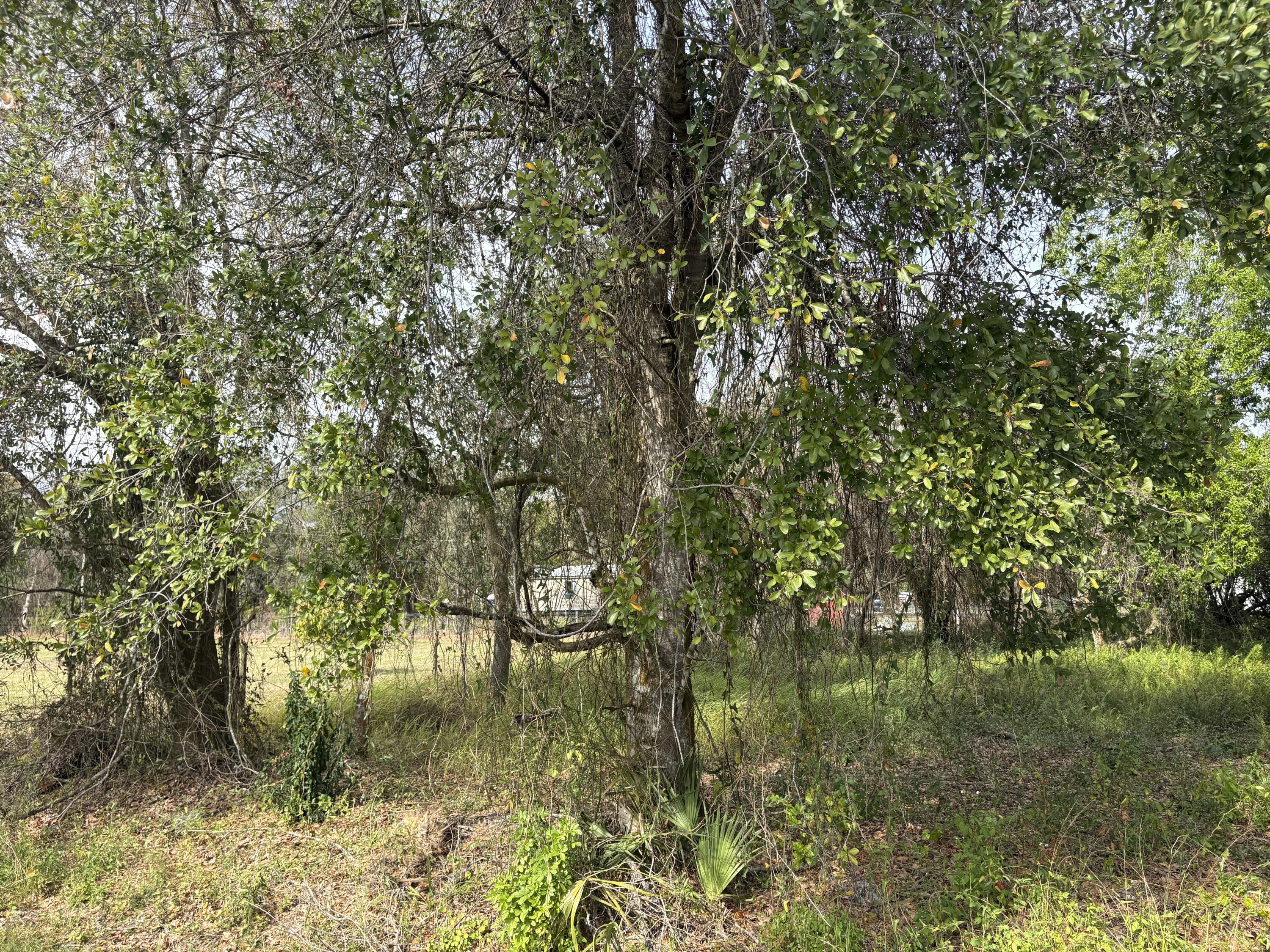 0 Northwest 1st Street Okeechobee, FL 34972 - Photo 8 of 12 a view of a lake view