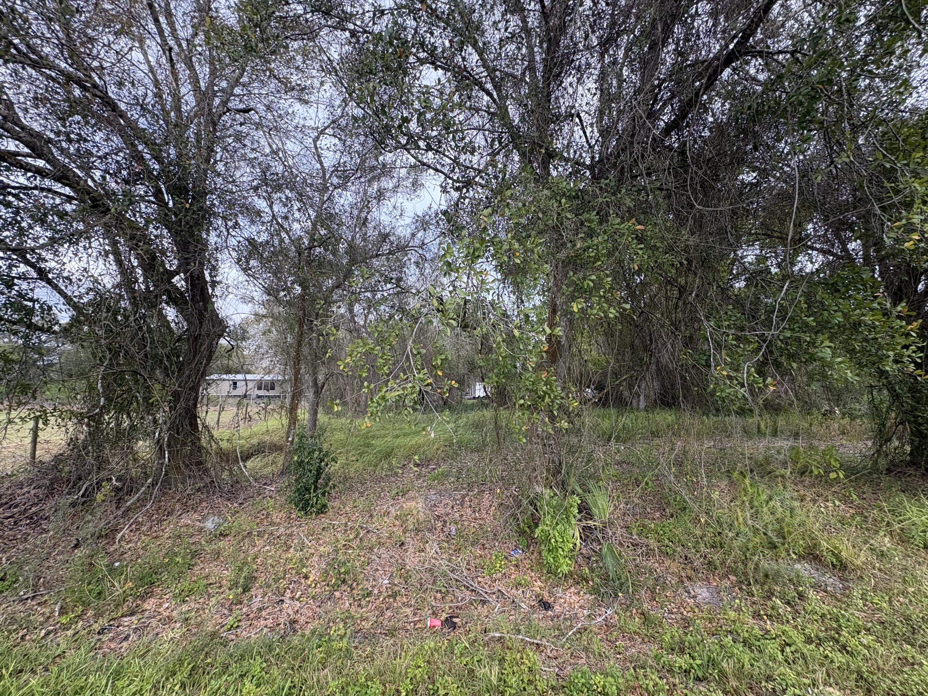 0 Northwest 1st Street Okeechobee, FL 34972 - Photo 9 of 12 a view of a forest with trees in the background