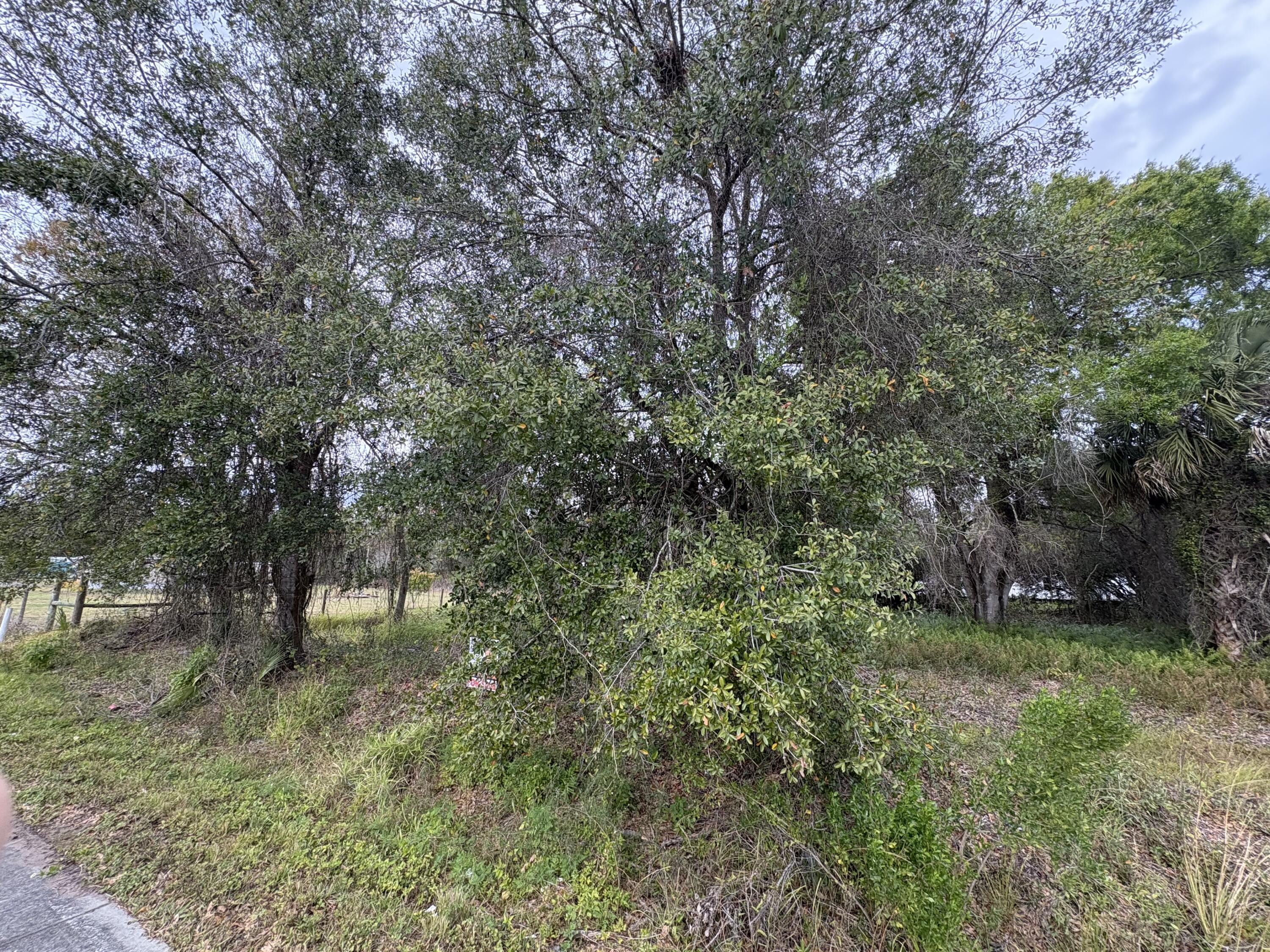 0 Northwest 1st Street Okeechobee, FL 34972 - Photo 10 of 12 a big yard with lots of green space and plants