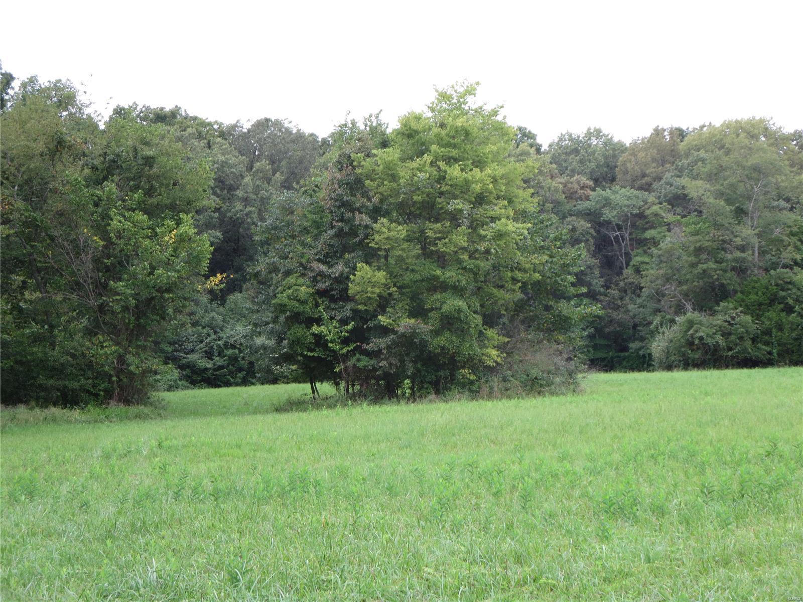 21000 Galatia Post Road Pittsburg, IL 62974 - Photo 22 of 26