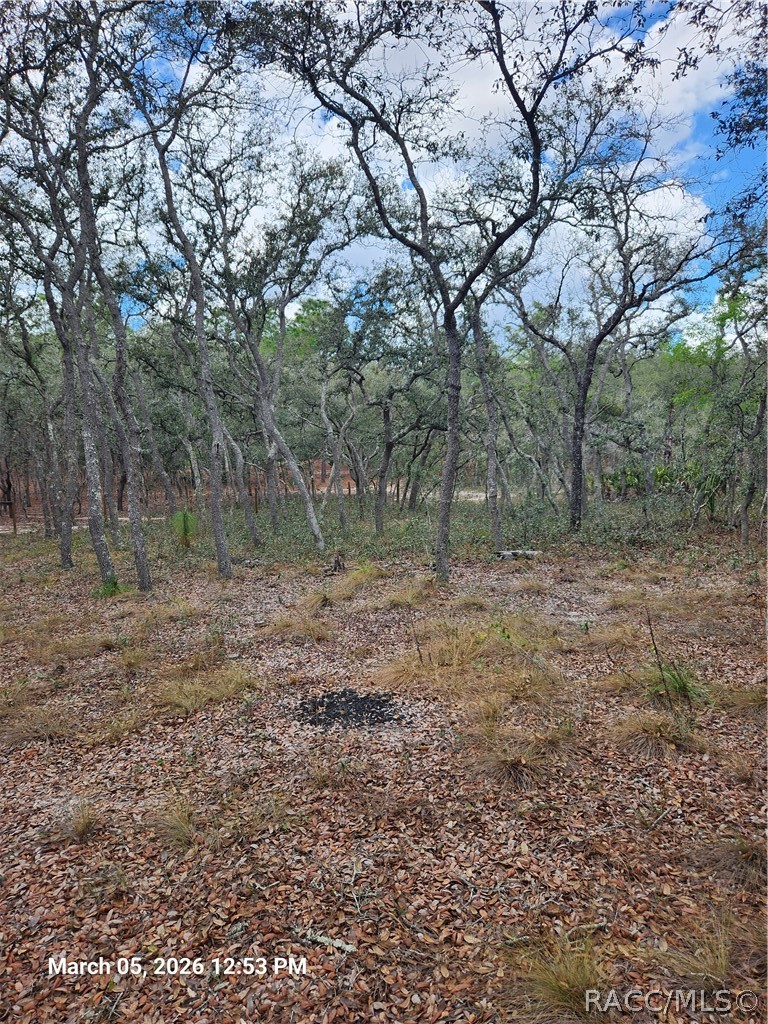 5686 South Butan Point Homosassa, FL 34446 - Photo 2 of 8 Gallery Image 2