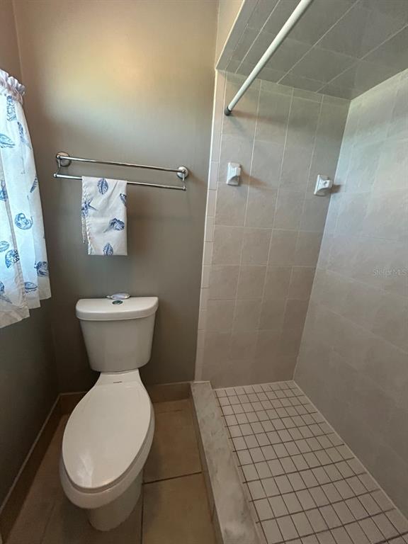 6525 Manila Palm Way Apollo Beach, FL 33572 - Photo 42 of 46